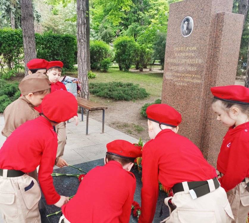 img (4)